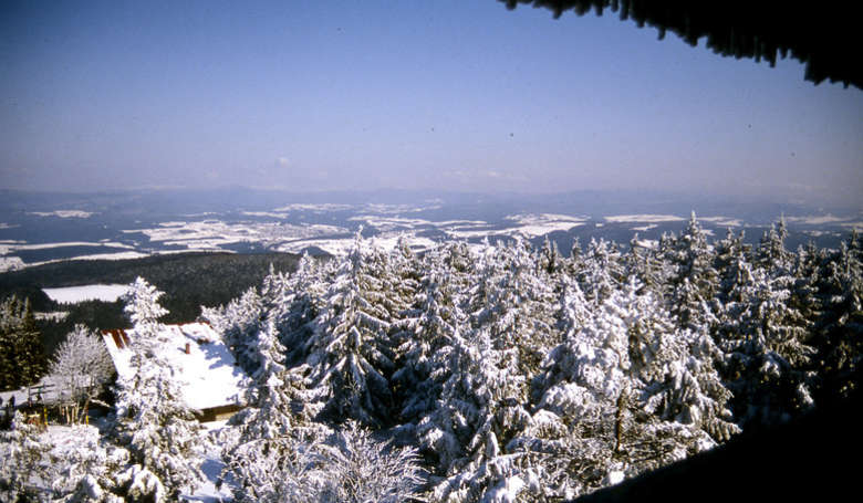 Winterlandschaft am Geißkopf