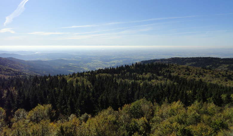 Ausblick vom Turm am Hirschenstein.
